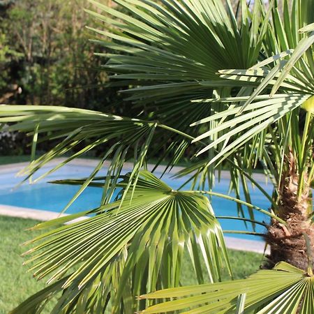 Les Romarins B&B, 10 Min D'Uzes, Piscine Et Grand Jardin, Table D'Hote Exterior photo